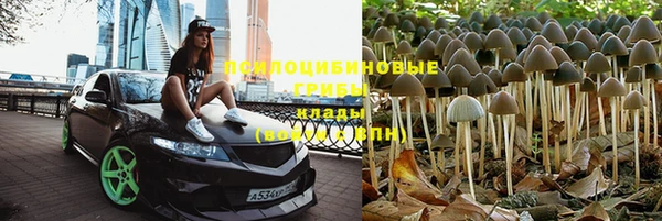 альфа пвп Армянск